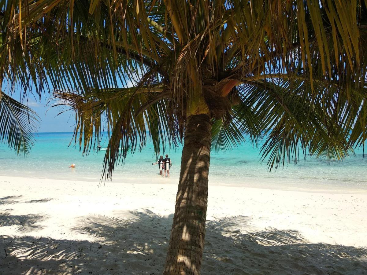 Dhigurah Beach Inn Dış mekan fotoğraf